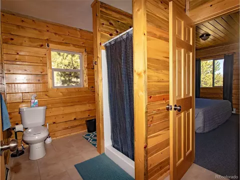 172 Wolfe Rd, Hartsel, CO 80449 photo 16
