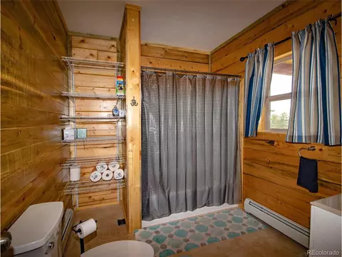 172 Wolfe Rd, Hartsel, CO 80449 photo 19
