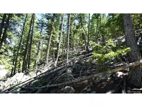 0 Saddleback Dr, Evergreen, CO 80439 photo 4