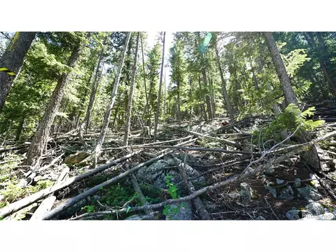 0 Saddleback Dr, Evergreen, CO 80439 photo 3
