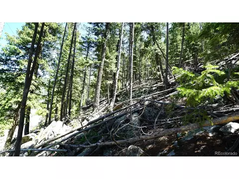 0 Saddleback Dr, Evergreen, CO 80439 photo 5