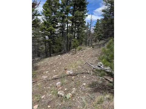 Undisclosed, Howard, CO 81233 photo 20