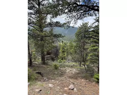 Undisclosed, Howard, CO 81233 photo 16