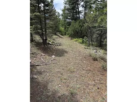 Undisclosed, Howard, CO 81233 photo 18