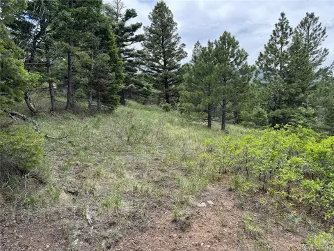 Undisclosed, Howard, CO 81233 photo 34