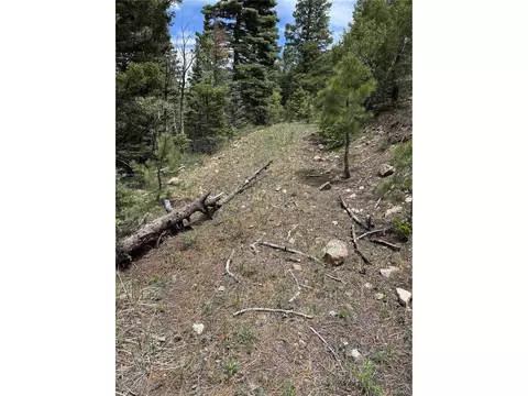 Undisclosed, Howard, CO 81233 photo 15