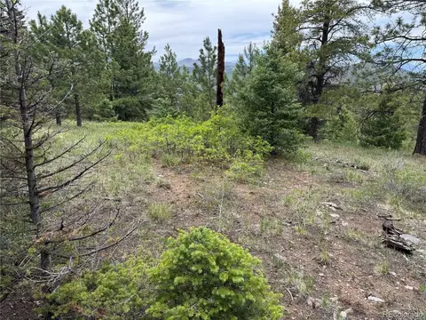 Undisclosed, Howard, CO 81233 photo 35