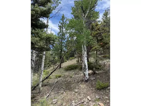 Undisclosed, Howard, CO 81233 photo 17