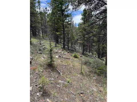Undisclosed, Howard, CO 81233 photo 19