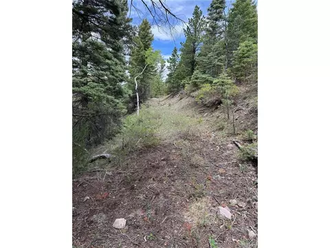 Undisclosed, Howard, CO 81233 photo 14
