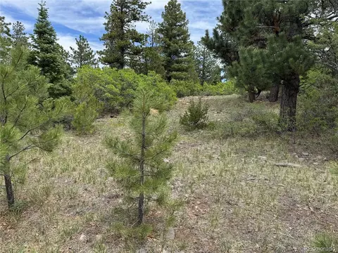 Undisclosed, Howard, CO 81233 photo 8
