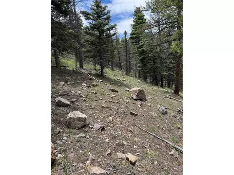 Undisclosed, Howard, CO 81233 photo 21