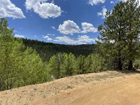 Other - 367 Moore St, Bailey, CO 80421 photo 6 of 6