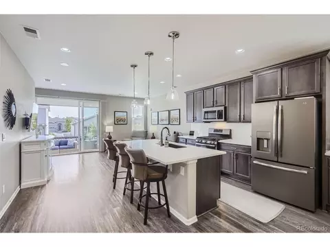 5553 Osbourne Dr, Windsor, CO 80550 photo 12