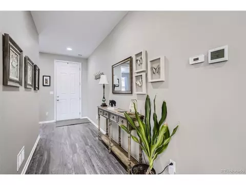 5553 Osbourne Dr, Windsor, CO 80550 photo 5