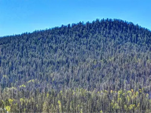 1739 Wampum Ln, Como, CO 80432 photo 10