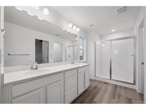 924 Steppe Ln, Windsor, CO 80550 photo 17