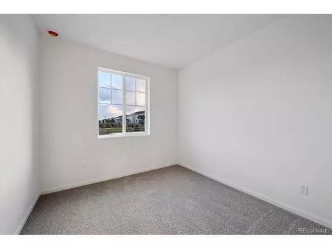 924 Steppe Ln, Windsor, CO 80550 photo 2
