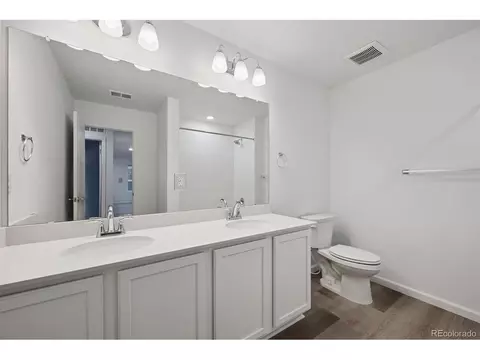 924 Steppe Ln, Windsor, CO 80550 photo 19