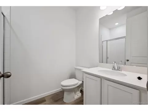 924 Steppe Ln, Windsor, CO 80550 photo 3