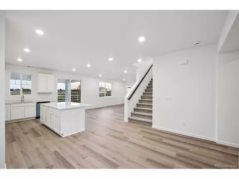 924 Steppe Ln, Windsor, CO 80550 photo 5
