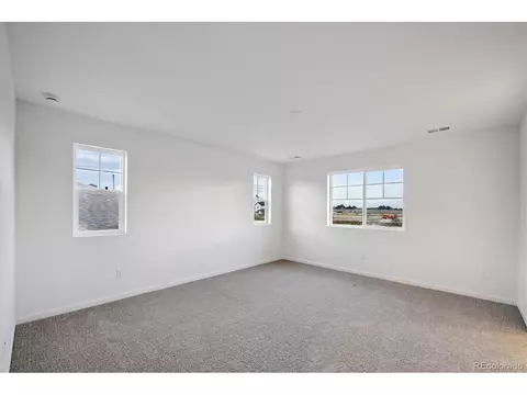 924 Steppe Ln, Windsor, CO 80550 photo 16