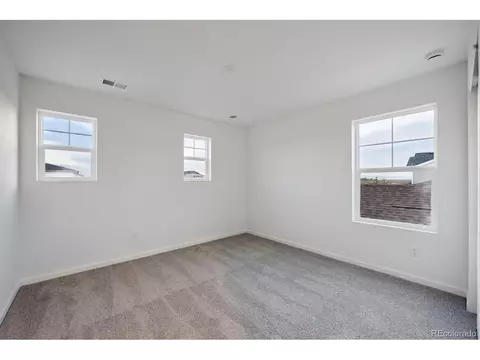 924 Steppe Ln, Windsor, CO 80550 photo 18