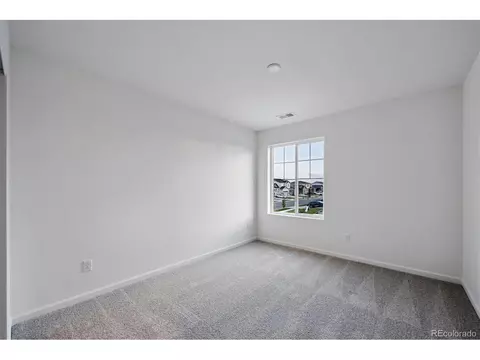 924 Steppe Ln, Windsor, CO 80550 photo 20
