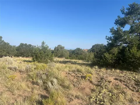 4292 Fallen Tree Overlook Overlook, Crestone, CO 81131 photo 4