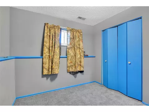 307 Robin, Florence, CO 81226 photo 28