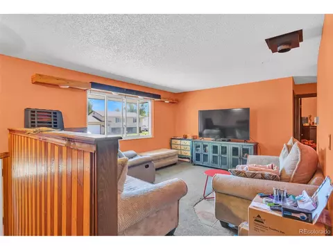 307 Robin, Florence, CO 81226 photo 10