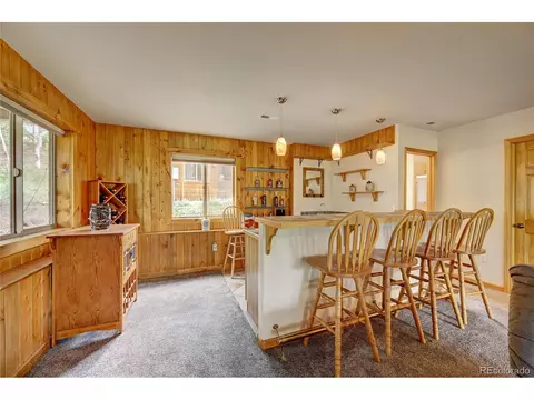 111 Mount Evans Dr, Bailey, CO 80421 photo 33