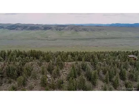 1416 Bonell Dr, Fairplay, CO 80440 photo 33