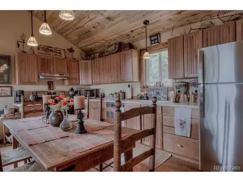 1416 Bonell Dr, Fairplay, CO 80440 photo 9