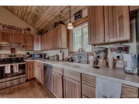 1416 Bonell Dr, Fairplay, CO 80440 photo 10