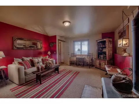 1416 Bonell Dr, Fairplay, CO 80440 photo 22