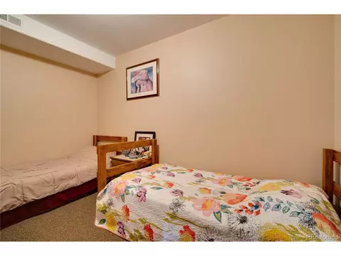 76 Pathfinder Way, Como, CO 80432 photo 20