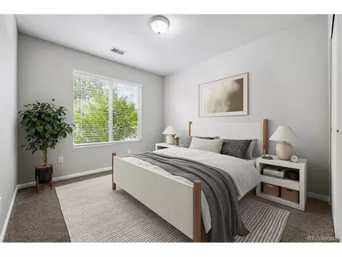 19541 E 50th Pl, Denver, CO 80249 photo 12