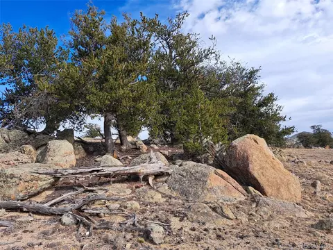 1282 Ute Trce, Hartsel, CO 80449 photo 1