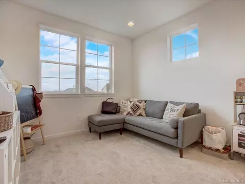 12717 Canoe St, Longmont, CO 80504 photo 20