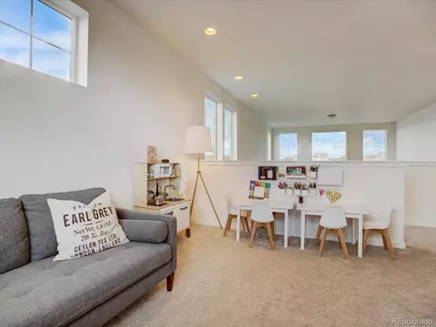 12717 Canoe St, Longmont, CO 80504 photo 19