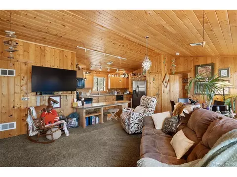 Living - 247 Bunny Rd, Bailey, CO 80421 photo 2 of 3