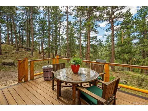 Exterior - 247 Bunny Rd, Bailey, CO 80421 photo 7 of 9