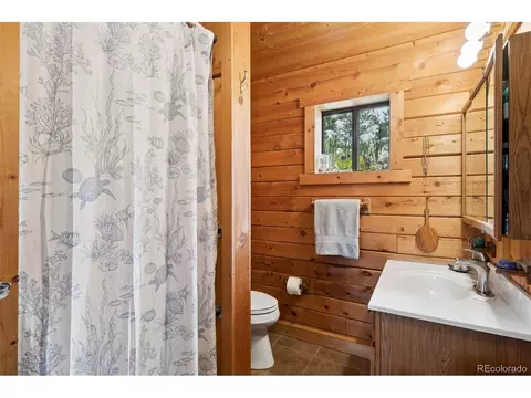 Bath - 247 Bunny Rd, Bailey, CO 80421 photo 4 of 4