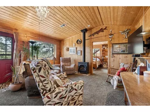 Living - 247 Bunny Rd, Bailey, CO 80421 photo 3 of 3