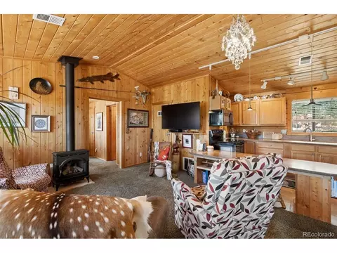 Living - 247 Bunny Rd, Bailey, CO 80421 photo 1 of 3