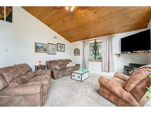 247 Anderson Rd, Bailey, CO 80421 photo 6