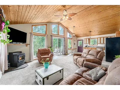 247 Anderson Rd, Bailey, CO 80421 photo 5