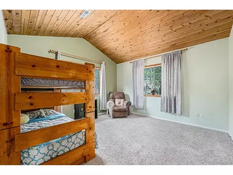 247 Anderson Rd, Bailey, CO 80421 photo 12