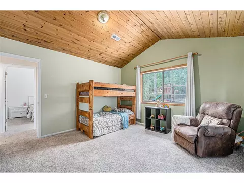 247 Anderson Rd, Bailey, CO 80421 photo 13
